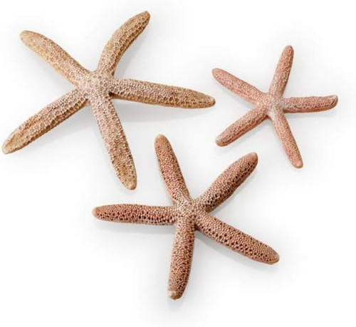 Decorazione per acquario - per,