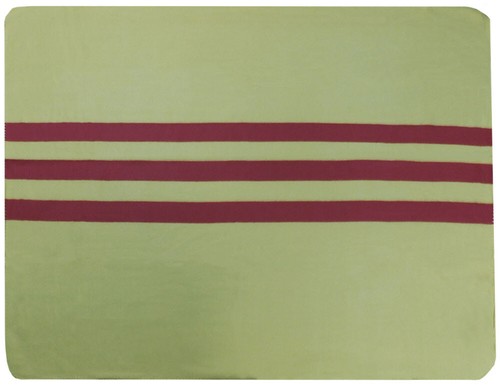 South vietnam flag 50x60 - 50x60, polar