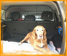 Divisorio / Rete divisoria