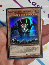 IMMORTAL TERRESTRIAL CCAPAC