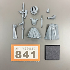 ALTI ELFI REGNI GUARDIA FENICE