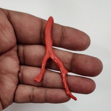 Ramo di corallo italiano