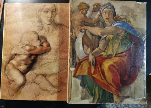 Michelangelo artista pensatore - michelangelo,