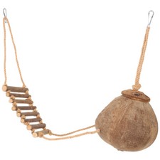 Crestato Geco Cocco Nascondi