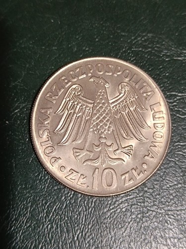 Moneta polonia zloty - moneta,