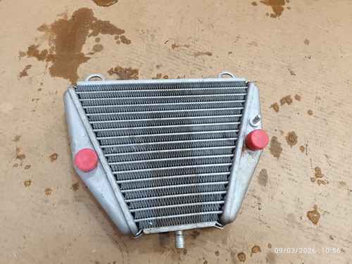 Radiatore olio ducati - radiatore,