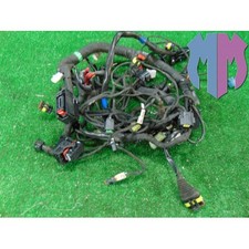 Impianto cablaggio elettrico