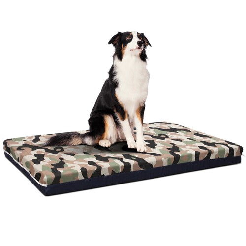 Cuccia cane interno - cane, da
