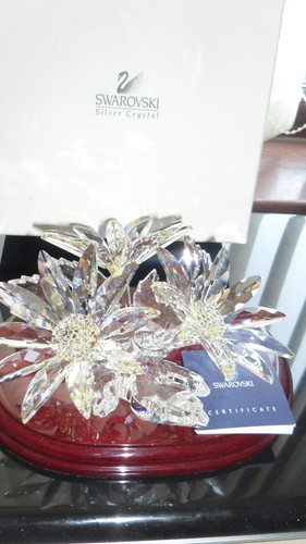 Cristallo swarovski maxi - cristallo,