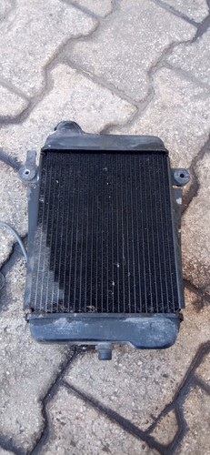 Radiatore 300 anno - radiatore, sh