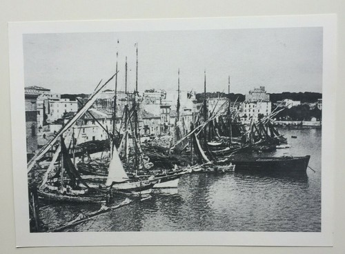 Anzio immagini città - , fine