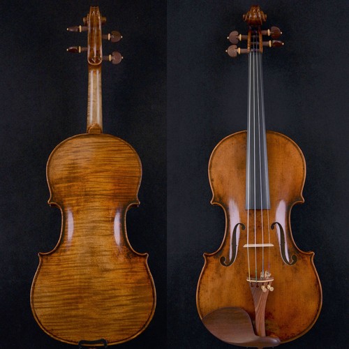 Splendido violino suono - splendido,