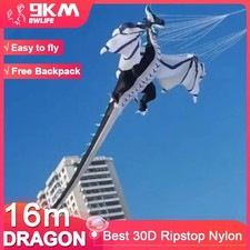 Aquilone Drago Gigante 16m