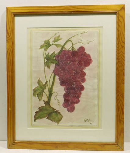 Rebenzweig con rossa uva - ",