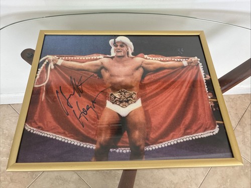 Hulk hogan thunderlips foto - hogan,