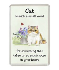 Exotic Shorthair 'Cat is such