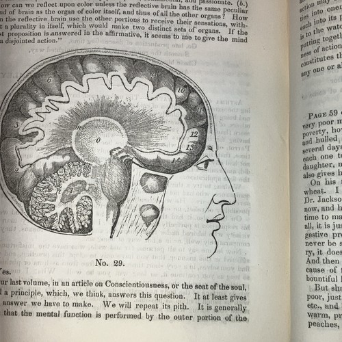 1848 american phrenological - 1848,
