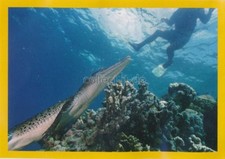 Panini National Geographic -