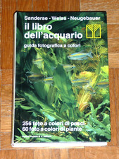 Sanderse, Weiss, Neugebauer