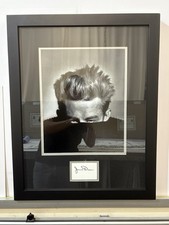 Ritratto James Dean bianco e