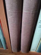 Genio dei Macchiaioli (2