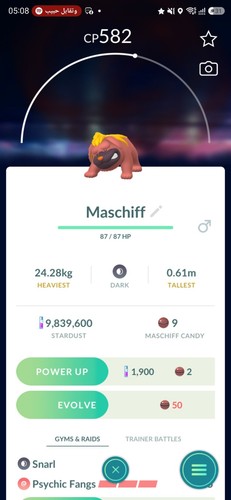 Maschiff 955 pokémon - maschiff, #955