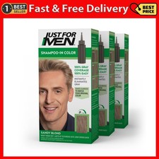 Just for Men Shampoo-In