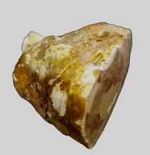 Legno Fossile Pietrificato ,legno Silicizzato ,opale Xiloide Originale.