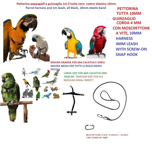 Pettorina pappagalli per tutte - pettorina,
