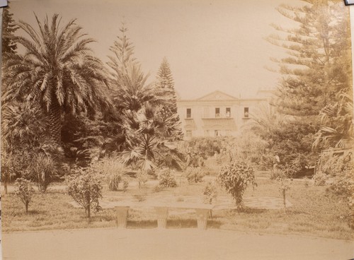 Tiraggio foto albumina 1880 - tiraggio,
