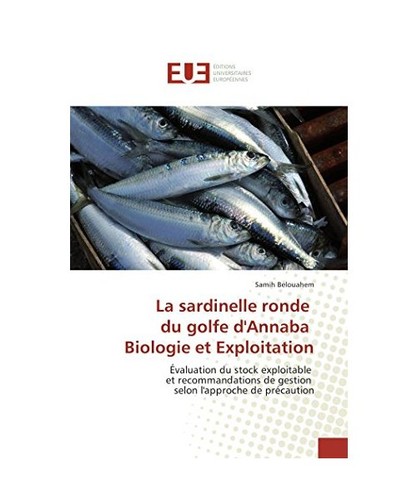 Sardinelle ronde golfe - sardinelle,