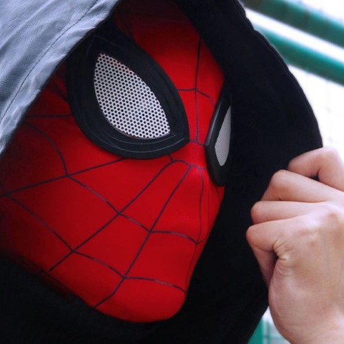 Beast kingdom spiderman - kingdom,