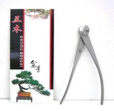 Tronchese tagliafilo bonsai in