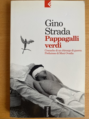 Pappagalli verdi gino - pappagalli,