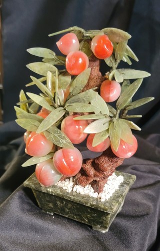 Bonsai pesco giada - di,