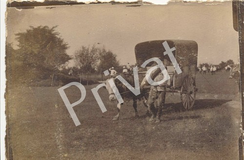 Foto carro attrezzi serbo - foto, i