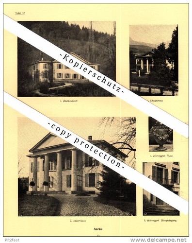 Fotografie vedute 1924 - fotografie,