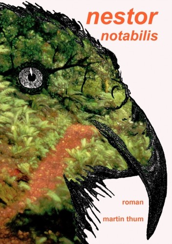 Thum nestor notabilis - thum,
