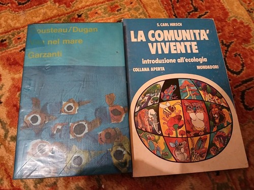 Comunità vivente hirsch - comunità, +