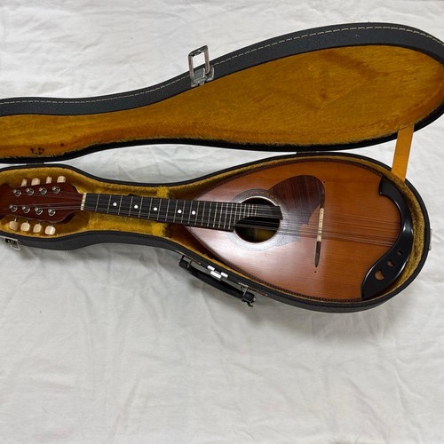 Mandolino suzuki con custodia - con,
