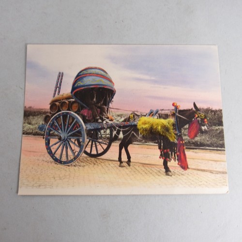Carrello asino siciliano