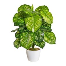 Artificiale Maranta Im Vaso IN