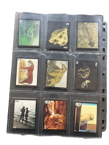 Wwf tam set completo - set,
