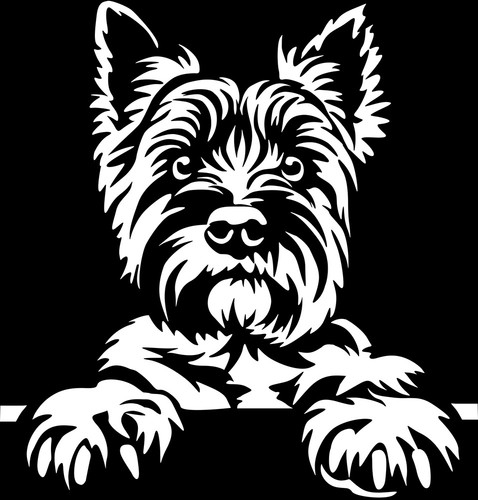 Adesivo cairn terrier - cairn,