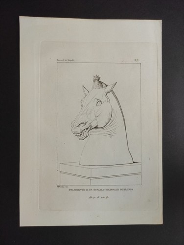 Frammento cavallo bronzo - di,