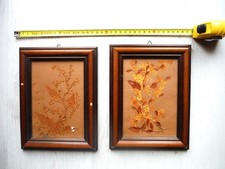 Coppia quadri vintage fiori - quadri,