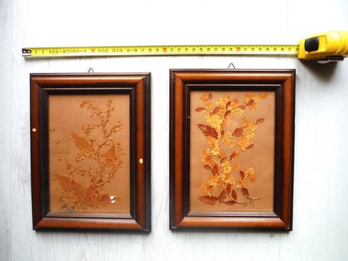 Coppia quadri vintage - quadri,