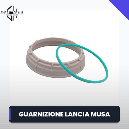 Guarnizione ghiera pompa - +,