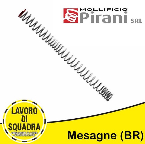 Molla asg aeg pirani - asg,