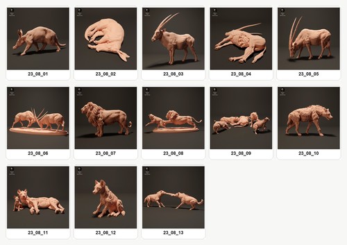 Tiere dell africa 13 - tiere,
